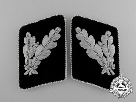 Waffen-SS Post-1942 Oberführer Collar Tabs Obverse