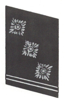 NSKK-Obersturmführer Collar Tabs Obverse