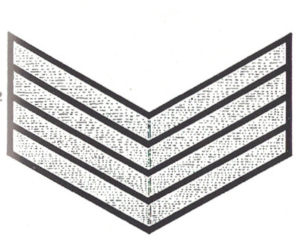 DAF 3rd Pattern Ortswerkscharführer Sleeve Rank Insignia Obverse