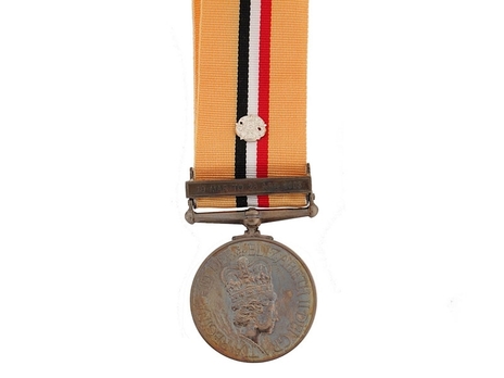 Silver Medal (with "19 MAR TO 28 APR 2003" clasp) Obverse