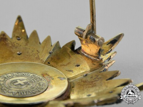 Order of Fidelity, Type II, Grand Cross Breast Star Reverse Detail