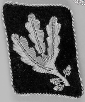 Waffen-SS Pre-1942 Gruppenführer Collar Tabs Obverse