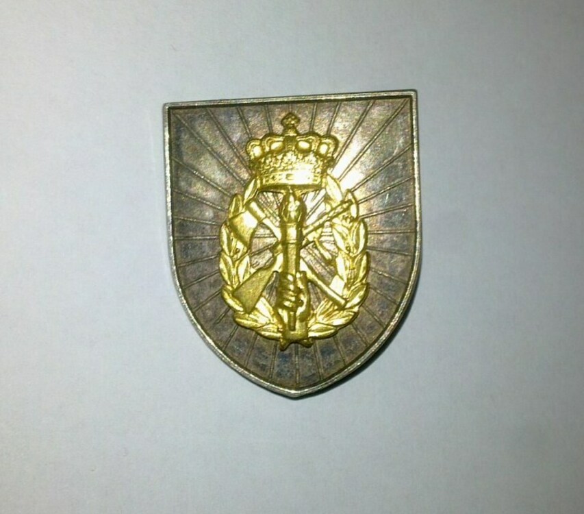 Silver+badge