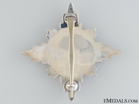 Knight/Dame Commander Breast Star (1917-1937) Reverse