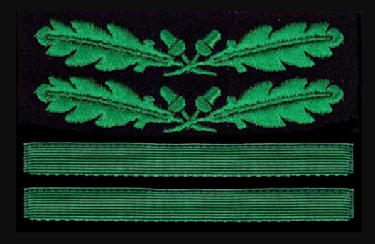 German Army Oberst Sleeve Grade Insignia Obverse