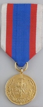 Medal for Service to the Nation, I Class Obverse