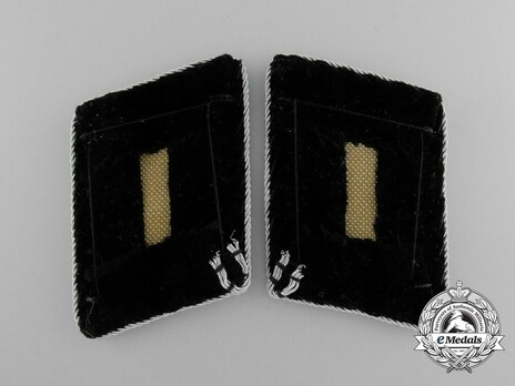 Waffen-SS Post-1942 Oberführer Collar Tabs Reverse