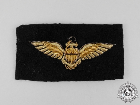 Pilot Wings (with embroidery) Obverse