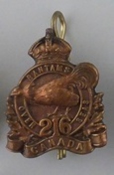 216th Infantry Battalion Other Ranks Collar Badge Obverse