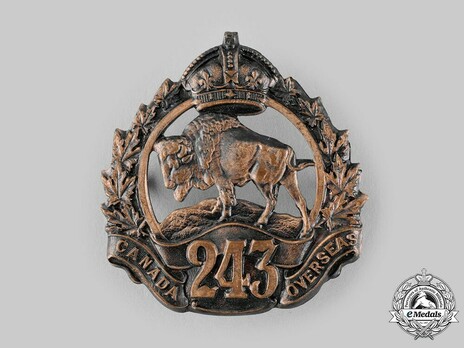 243rd Infantry Battalion Other Ranks Cap Badge