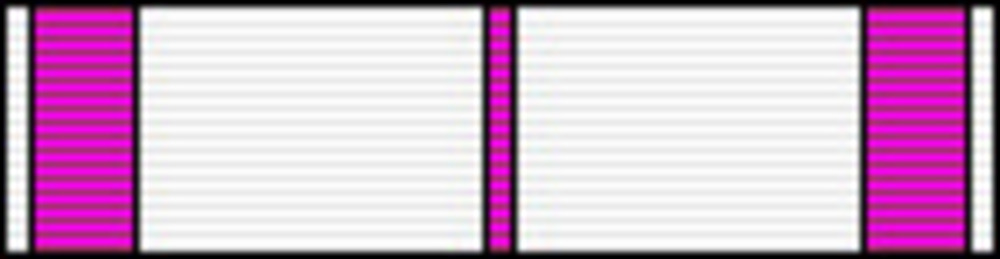 Literature ribbon2