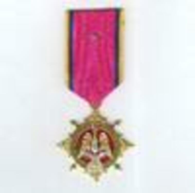 Gilt medal obv s9