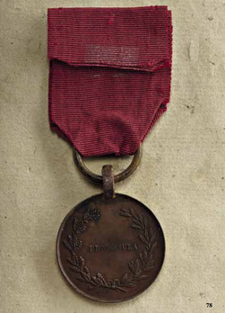 Peninsula Medal for Non-Commissioned Officers and Enlisted Ranks, Type I (by Brasseux Freres) Reverse