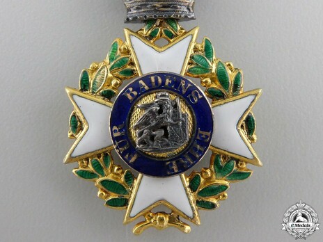 Order of Military Merit of Charles Frederick, Knight (in gold) Obverse Detail