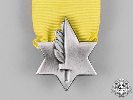 Medal of Valour (Itur Hagvura/Gevura Medal) Obverse