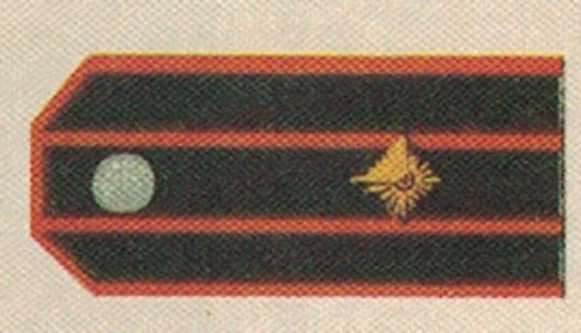 German Army Foreign Units Oberstleutnant Shoulder Boards Obverse