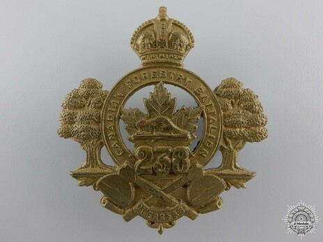 238th Infantry Battalion Other Ranks Cap Badge Obverse