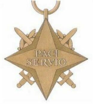 Air Crew Star Reverse