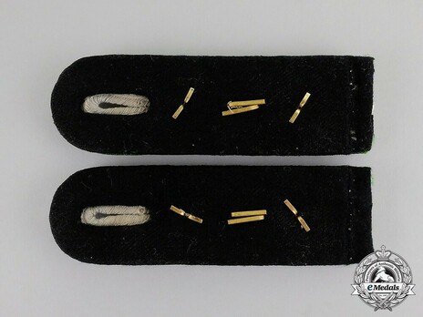 Waffen-SS Mountain Troops Hauptsturmführer Shoulder Boards Reverse