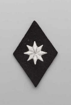 Allgemeine SS Administrative Services Trade Insignia Obverse