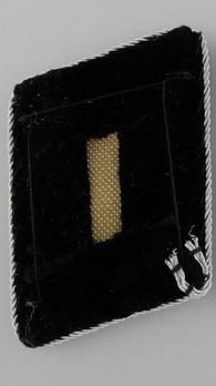 TeNo Landesführer der TN 1943 pattern Collar Tabs (special award) Reverse