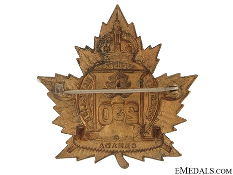 230th Infantry Battalion Other Ranks Cap Badge Reverse