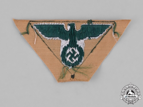 SA Cap Eagle Insignia on Triangle (emerald-green version) Reverse