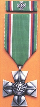 Cross of Merit of the Minister of Defence of the Czech Republic, II Class MedalObverse