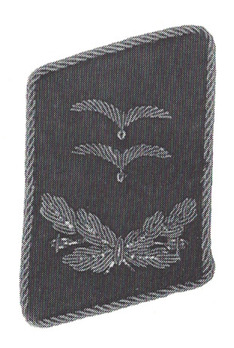 DLV Schwarmführer Collar Tabs Obverse