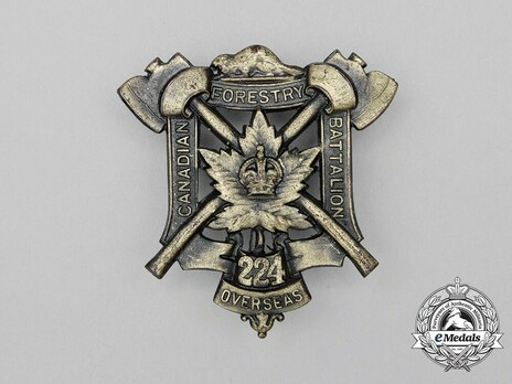 224th Infantry Battalion Other Ranks Cap Badge Obverse