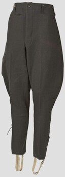 SS-VT Officer Black Breeches M32 Obverse