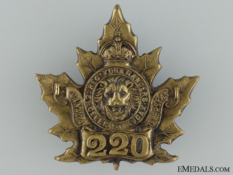 220th Infantry Battalion Other Ranks Cap Badge Obverse