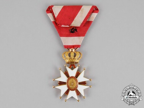 Order of Saint Joseph, Knight Reverse