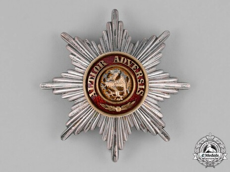 Order of the Griffin, Civil Division, Grand Cross Breast Star Obverse