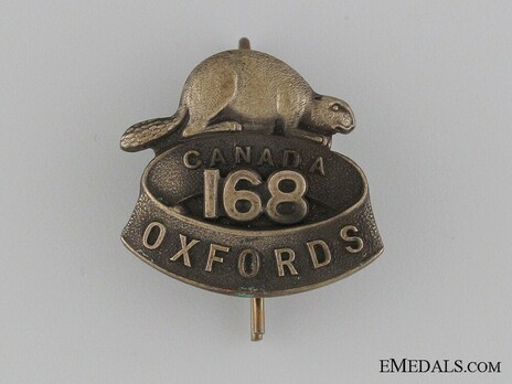 168th Infantry Battalion Other Ranks Collar Badge Obverse