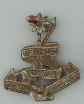 Other Ranks Collar Badge Reverse