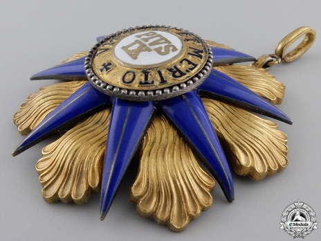 Order of Pius IX, Grand Cross  (with silver-gilt) Obverse