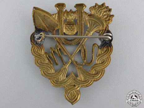 Bronze Gilt Badge Reverse