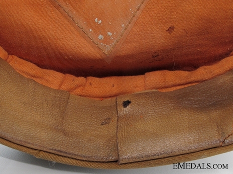 NSDAP Ortsgruppenleitung Visor Cap M34 Detail