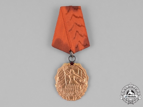 Order of the Flag (in Gold)