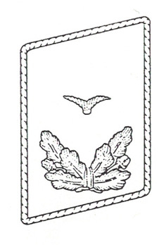 DLV Kettenführer Collar Tabs Obverse