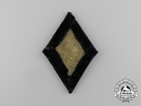 Allgemeine SS Dental Service Trade Insignia (Officer version) Reverse