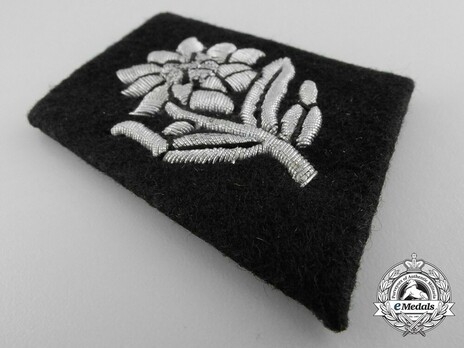 Allgemeine SS 87th Standarte Unit Collar Tab Obverse