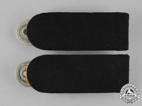 Waffen-SS Field Police/Special & Technical Services Obersturmbannführer Shoulder Boards Reverse