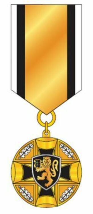 Ii class medal2