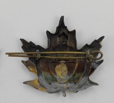 2nd University Training Company Officers Cap Badge Reverse