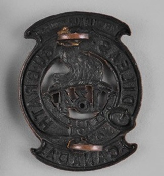 134th Infantry Battalion Other Ranks Collar Badge Reverse