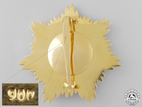 Order of the Leader (Nishan-i-Sadari), I Class Grand Cordon Breast Star (Sardar-i-A'ala) Reverse