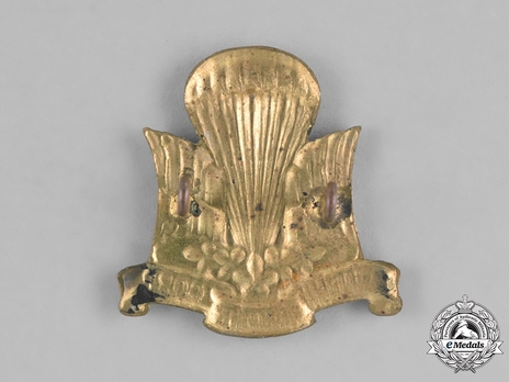 Canadian Parachute Corps Other Ranks Cap Badge Reverse