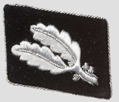 Waffen-SS Pre-1942 Oberführer Collar Tabs Obverse